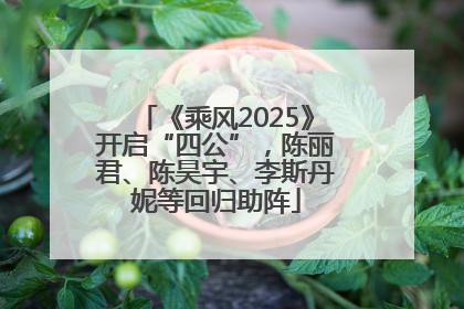 《乘风2025》开启“四公”，陈丽君、陈昊宇、李斯丹妮等回归助阵