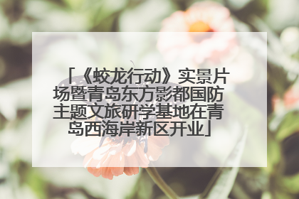 《蛟龙行动》实景片场暨青岛东方影都国防主题文旅研学基地在青岛西海岸新区开业