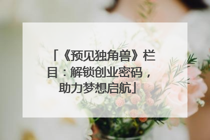 《预见独角兽》栏目：解锁创业密码，助力梦想启航