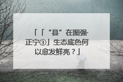 「“县”在图强·正宁③」生态底色何以愈发鲜亮？