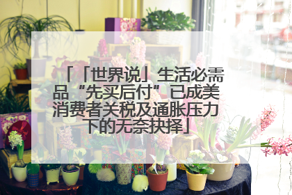 「世界说」生活必需品“先买后付”已成美消费者关税及通胀压力下的无奈抉择