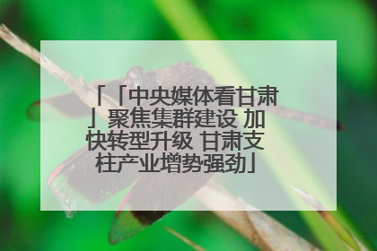 「中央媒体看甘肃」聚焦集群建设 加快转型升级 甘肃支柱产业增势强劲