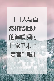 「人与自然和谐相处的温暖瞬间」家里来“贵客”啦