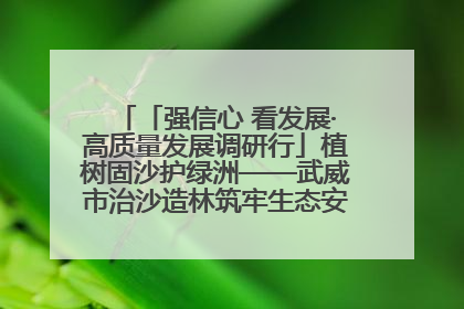 「强信心 看发展·高质量发展调研行」植树固沙护绿洲——武威市治沙造林筑牢生态安全屏障见闻