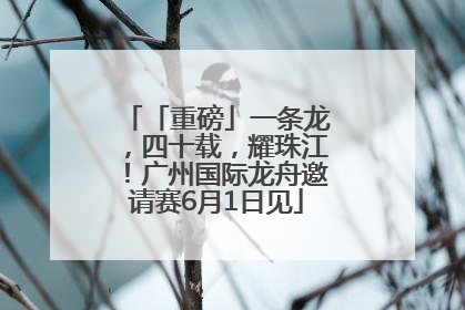 「重磅」一条龙，四十载，耀珠江！广州国际龙舟邀请赛6月1日见