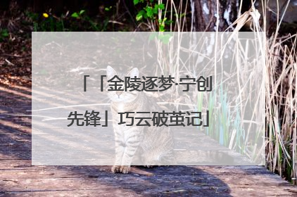 「金陵逐梦·宁创先锋」巧云破茧记