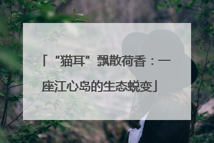 “猫耳”飘散荷香：一座江心岛的生态蜕变