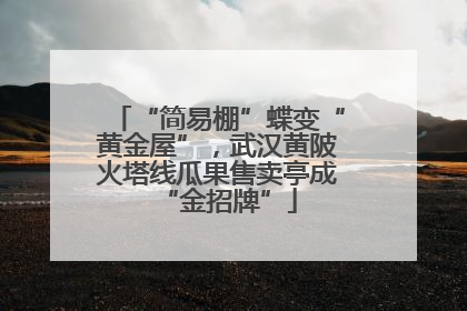 “简易棚”蝶变“黄金屋”，武汉黄陂火塔线瓜果售卖亭成“金招牌”