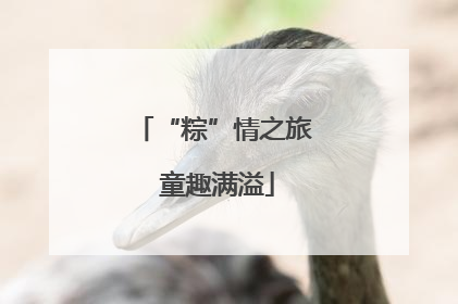 “粽”情之旅 童趣满溢