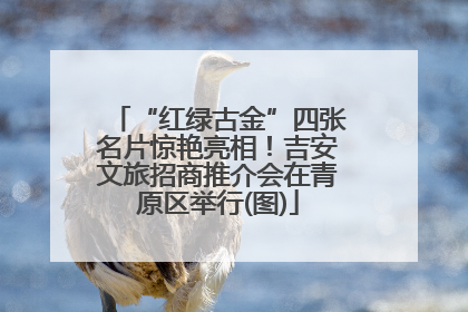 “红绿古金”四张名片惊艳亮相！吉安文旅招商推介会在青原区举行(图)