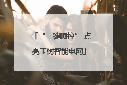 “一键顺控” 点亮玉树智能电网
