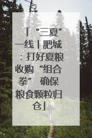 “三夏”一线丨肥城：打好夏粮收购“组合拳” 确保粮食颗粒归仓