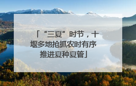 “三夏”时节，十堰多地抢抓农时有序推进夏种夏管
