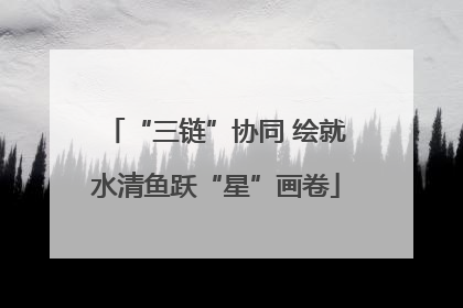 “三链”协同 绘就水清鱼跃“星”画卷