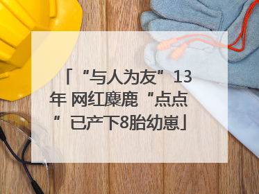 “与人为友”13年 网红麋鹿“点点”已产下8胎幼崽