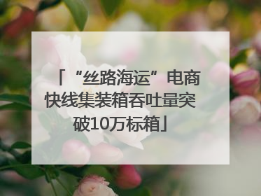 “丝路海运”电商快线集装箱吞吐量突破10万标箱