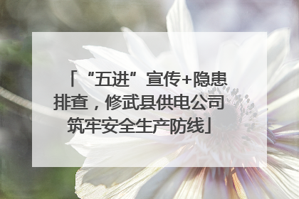 “五进”宣传+隐患排查，修武县供电公司筑牢安全生产防线