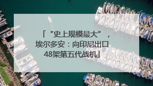 “史上规模最大”，埃尔多安：向印尼出口48架第五代战机