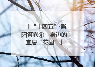 “十四五”·衡阳答卷④｜身边的宜居“花园”