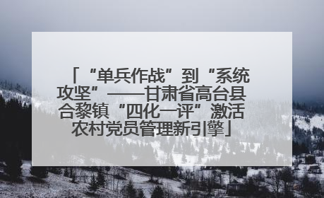 “单兵作战”到“系统攻坚”——甘肃省高台县合黎镇“四化一评”激活农村党员管理新引擎