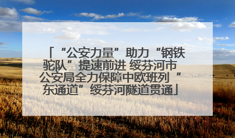 “公安力量”助力“钢铁驼队”提速前进 绥芬河市公安局全力保障中欧班列“东通道”绥芬河隧道贯通