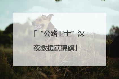 “公路卫士”深夜救援获锦旗
