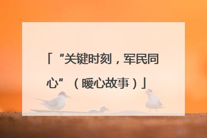 “关键时刻，军民同心”（暖心故事）
