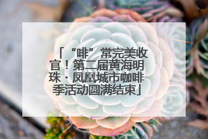 “啡”常完美收官！第二届黄海明珠・凤凰城市咖啡季活动圆满结束