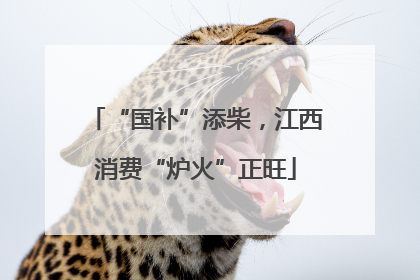 “国补”添柴，江西消费“炉火”正旺