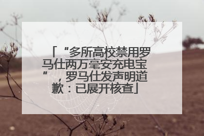 “多所高校禁用罗马仕两万毫安充电宝”，罗马仕发声明道歉：已展开核查