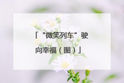 “微笑列车”驶向幸福（图）