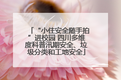 “小住安全随手拍”进校园 四川多维度科普汛期安全、垃圾分类和工地安全