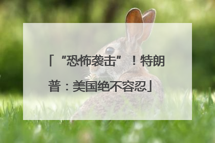“恐怖袭击”！特朗普：美国绝不容忍