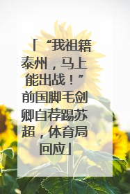 “我祖籍泰州，马上能出战！”前国脚毛剑卿自荐踢苏超，体育局回应