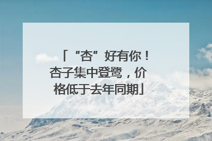 “杏”好有你！杏子集中登鹭，价格低于去年同期