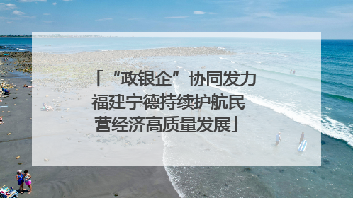 “政银企”协同发力 福建宁德持续护航民营经济高质量发展