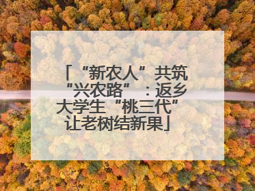 “新农人”共筑“兴农路”：返乡大学生“桃三代”让老树结新果