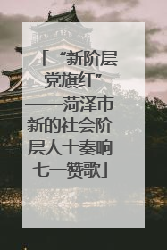 “新阶层 党旗红”——菏泽市新的社会阶层人士奏响七一赞歌