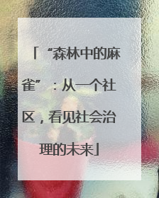 “森林中的麻雀”：从一个社区，看见社会治理的未来
