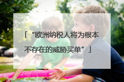 “欧洲纳税人将为根本不存在的威胁买单”