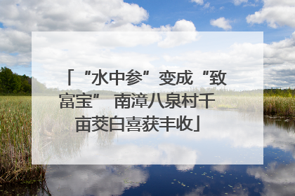 “水中参”变成“致富宝” 南漳八泉村千亩茭白喜获丰收