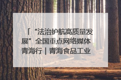 “法治护航高质量发展”全国重点网络媒体青海行｜青海食品工业协会：架起“青字号”美食的产业化桥梁