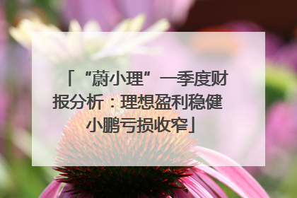 “蔚小理”一季度财报分析：理想盈利稳健 小鹏亏损收窄