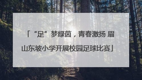 “足”梦绿茵，青春激扬 眉山东坡小学开展校园足球比赛