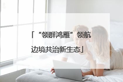“领群鸿雁”领航边境共治新生态