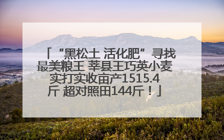 “黑松土 活化肥”寻找最美粮王 莘县王巧英小麦实打实收亩产1515.4斤 超对照田144斤！