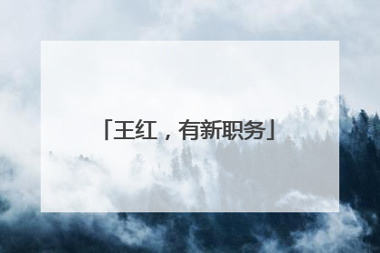 王红，有新职务
