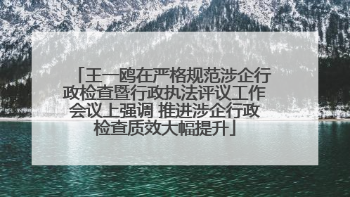 王一鸥在严格规范涉企行政检查暨行政执法评议工作会议上强调 推进涉企行政检查质效大幅提升