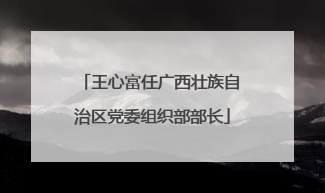 王心富任广西壮族自治区党委组织部部长
