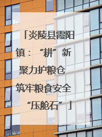 炎陵县霞阳镇：“耕”新聚力护粮仓 筑牢粮食安全“压舱石”